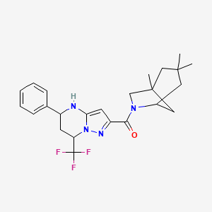 molecular formula C24H29F3N4O B4186430 5-phenyl-7-(trifluoromethyl)-2-[(1,3,3-trimethyl-6-azabicyclo[3.2.1]oct-6-yl)carbonyl]-4,5,6,7-tetrahydropyrazolo[1,5-a]pyrimidine 
