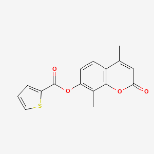 molecular formula C16H12O4S B4187974 4,8-dimethyl-2-oxo-2H-chromen-7-yl 2-thiophenecarboxylate 