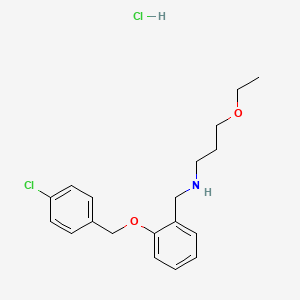 molecular formula C19H25Cl2NO2 B4188338 N-{2-[(4-chlorobenzyl)oxy]benzyl}-3-ethoxy-1-propanamine hydrochloride 