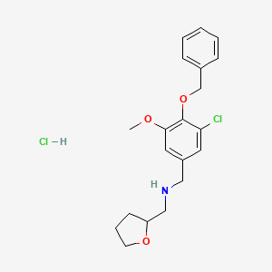 molecular formula C20H25Cl2NO3 B4193535 [4-(benzyloxy)-3-chloro-5-methoxybenzyl](tetrahydro-2-furanylmethyl)amine hydrochloride 