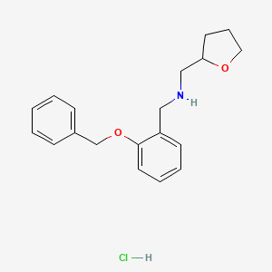 molecular formula C19H24ClNO2 B4194336 [2-(benzyloxy)benzyl](tetrahydro-2-furanylmethyl)amine hydrochloride 