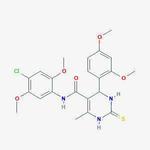 N-(4-chloro-2,5-dimethoxyphenyl)-4-(2,4-dimethoxyphenyl)-6-methyl-2-thioxo-1,2,3,4-tetrahydro-5-pyrimidinecarboxamide