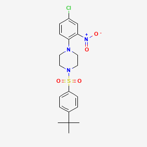 molecular formula C20H24ClN3O4S B4195603 1-[(4-tert-butylphenyl)sulfonyl]-4-(4-chloro-2-nitrophenyl)piperazine 