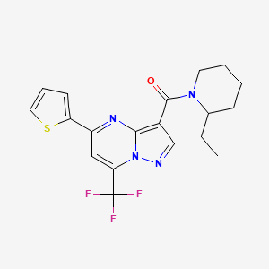 molecular formula C19H19F3N4OS B4196006 3-[(2-ethyl-1-piperidinyl)carbonyl]-5-(2-thienyl)-7-(trifluoromethyl)pyrazolo[1,5-a]pyrimidine 