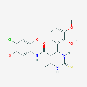 N-(4-chloro-2,5-dimethoxyphenyl)-4-(2,3-dimethoxyphenyl)-6-methyl-2-thioxo-1,2,3,4-tetrahydro-5-pyrimidinecarboxamide