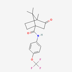 4,7,7-trimethyl-3-oxo-N-[4-(trifluoromethoxy)phenyl]bicyclo[2.2.1]heptane-1-carboxamide