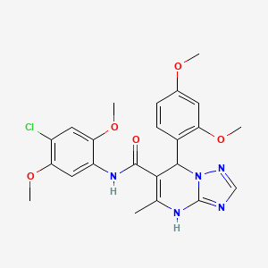 N-(4-chloro-2,5-dimethoxyphenyl)-7-(2,4-dimethoxyphenyl)-5-methyl-4,7-dihydro[1,2,4]triazolo[1,5-a]pyrimidine-6-carboxamide