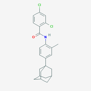 molecular formula C24H25Cl2NO B420463 N-[4-(1-adamantyl)-2-methylphenyl]-2,4-dichlorobenzamide 