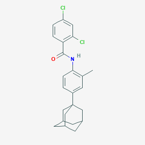 N-[4-(ADAMANTAN-1-YL)-2-METHYLPHENYL]-2,4-DICHLOROBENZAMIDE