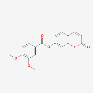 molecular formula C19H16O6 B420479 4-methyl-2-oxo-2H-chromen-7-yl 3,4-dimethoxybenzoate CAS No. 304673-35-6