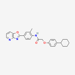 2-(4-cyclohexylphenoxy)-N-(2-methyl-4-[1,3]oxazolo[4,5-b]pyridin-2-ylphenyl)acetamide