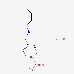 molecular formula C15H23ClN2O2 B4211605 N-(4-nitrobenzyl)cyclooctanamine hydrochloride 