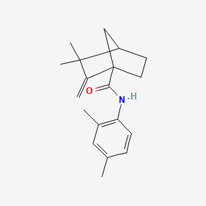 molecular formula C19H25NO B4211679 N-(2,4-dimethylphenyl)-3,3-dimethyl-2-methylidenebicyclo[2.2.1]heptane-1-carboxamide 