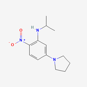 molecular formula C13H19N3O2 B4211989 N-isopropyl-2-nitro-5-(1-pyrrolidinyl)aniline 