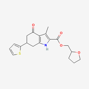 molecular formula C19H21NO4S B4212043 tetrahydrofuran-2-ylmethyl 3-methyl-4-oxo-6-(thiophen-2-yl)-4,5,6,7-tetrahydro-1H-indole-2-carboxylate 