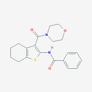 molecular formula C20H22N2O3S B421277 N-[3-(4-Morpholinylcarbonyl)-4,5,6,7-tetrahydro-1-benzothien-2-yl]benzamide CAS No. 312948-88-2