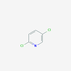 molecular formula C5H3Cl2N B042133 2,5-二氯吡啶 CAS No. 16110-09-1