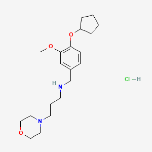 N-[(4-cyclopentyloxy-3-methoxyphenyl)methyl]-3-morpholin-4-ylpropan-1-amine;hydrochloride