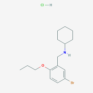 N-[(5-bromo-2-propoxyphenyl)methyl]cyclohexanamine;hydrochloride