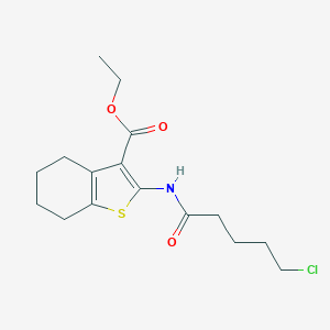 molecular formula C16H22ClNO3S B421515 Ethyl 2-[(5-chloropentanoyl)amino]-4,5,6,7-tetrahydro-1-benzothiophene-3-carboxylate CAS No. 331760-62-4