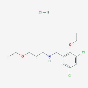 molecular formula C14H22Cl3NO2 B4216272 N-(3,5-dichloro-2-ethoxybenzyl)-3-ethoxy-1-propanamine hydrochloride 