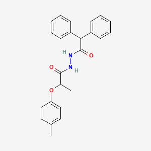 N'-(diphenylacetyl)-2-(4-methylphenoxy)propanohydrazide