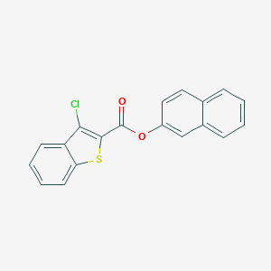 molecular formula C19H11ClO2S B421869 2-Naphthyl 3-chloro-1-benzothiophene-2-carboxylate 
