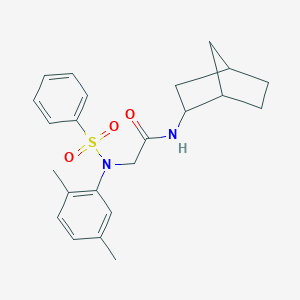 molecular formula C23H28N2O3S B421870 N-bicyclo[2.2.1]hept-2-yl-2-[2,5-dimethyl(phenylsulfonyl)anilino]acetamide 