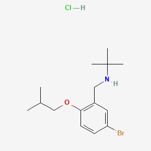 N-(5-bromo-2-isobutoxybenzyl)-2-methyl-2-propanamine hydrochloride