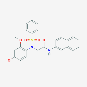 molecular formula C26H24N2O5S B422094 2-[2,4-dimethoxy(phenylsulfonyl)anilino]-N-(2-naphthyl)acetamide 