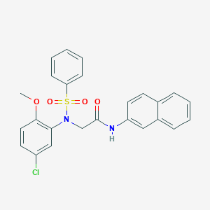 molecular formula C25H21ClN2O4S B422096 2-[5-chloro-2-methoxy(phenylsulfonyl)anilino]-N-(2-naphthyl)acetamide 