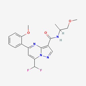 molecular formula C19H20F2N4O3 B4221897 7-(difluoromethyl)-5-(2-methoxyphenyl)-N-(1-methoxypropan-2-yl)pyrazolo[1,5-a]pyrimidine-3-carboxamide 