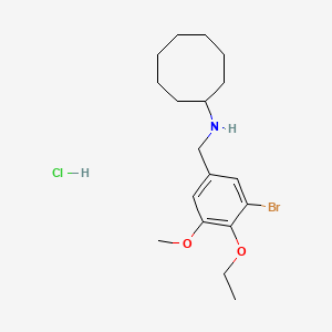 molecular formula C18H29BrClNO2 B4222506 N-(3-bromo-4-ethoxy-5-methoxybenzyl)cyclooctanamine hydrochloride 