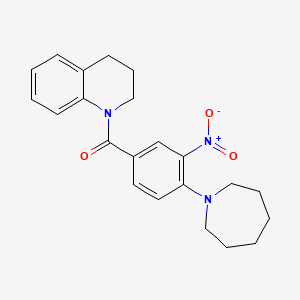 molecular formula C22H25N3O3 B4222852 [4-(azepan-1-yl)-3-nitrophenyl]-(3,4-dihydro-2H-quinolin-1-yl)methanone 