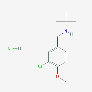 N-(3-chloro-4-methoxybenzyl)-2-methyl-2-propanamine hydrochloride