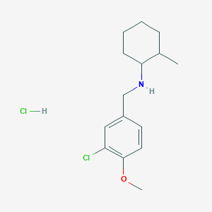 molecular formula C15H23Cl2NO B4222965 N-[(3-chloro-4-methoxyphenyl)methyl]-2-methylcyclohexan-1-amine;hydrochloride 