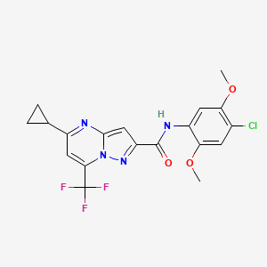 N-(4-chloro-2,5-dimethoxyphenyl)-5-cyclopropyl-7-(trifluoromethyl)pyrazolo[1,5-a]pyrimidine-2-carboxamide