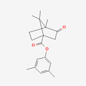 molecular formula C19H24O3 B4223961 3,5-dimethylphenyl 4,7,7-trimethyl-3-oxobicyclo[2.2.1]heptane-1-carboxylate 