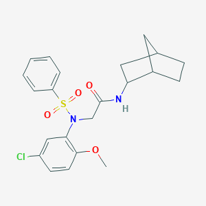 N-bicyclo[2.2.1]hept-2-yl-2-[5-chloro-2-methoxy(phenylsulfonyl)anilino]acetamide