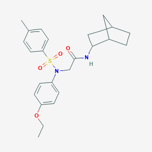 molecular formula C24H30N2O4S B422493 N-bicyclo[2.2.1]hept-2-yl-2-{4-ethoxy[(4-methylphenyl)sulfonyl]anilino}acetamide 