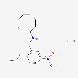 N-(2-ethoxy-5-nitrobenzyl)cyclooctanamine hydrochloride