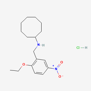 molecular formula C17H27ClN2O3 B4225620 N-(2-ethoxy-5-nitrobenzyl)cyclooctanamine hydrochloride 