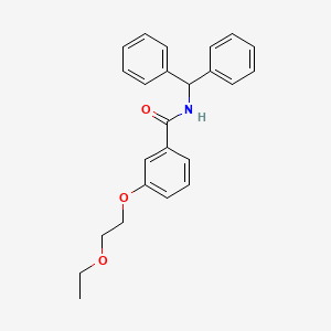 molecular formula C24H25NO3 B4226450 N-(diphenylmethyl)-3-(2-ethoxyethoxy)benzamide 