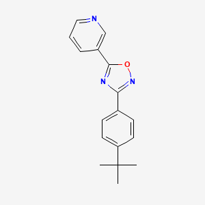 3-[3-(4-tert-butylphenyl)-1,2,4-oxadiazol-5-yl]pyridine