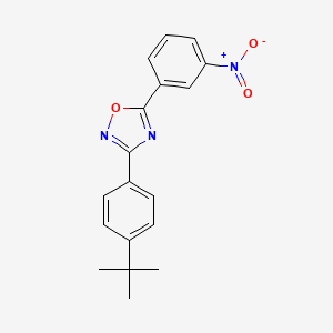 molecular formula C18H17N3O3 B4229468 3-(4-tert-butylphenyl)-5-(3-nitrophenyl)-1,2,4-oxadiazole 