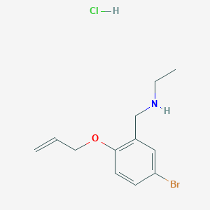molecular formula C12H17BrClNO B4229501 N-[2-(allyloxy)-5-bromobenzyl]ethanamine hydrochloride 