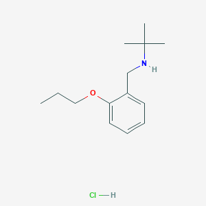 molecular formula C14H24ClNO B4229715 tert-butyl(2-propoxybenzyl)amine hydrochloride 