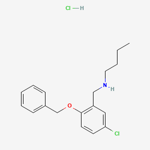 molecular formula C18H23Cl2NO B4230051 N-[2-(benzyloxy)-5-chlorobenzyl]-1-butanamine hydrochloride 