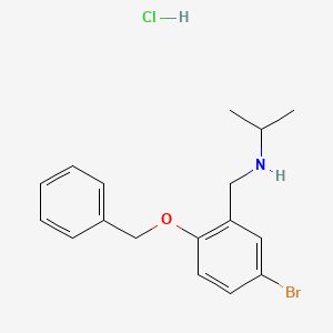 molecular formula C17H21BrClNO B4231738 N-[2-(benzyloxy)-5-bromobenzyl]-2-propanamine hydrochloride 