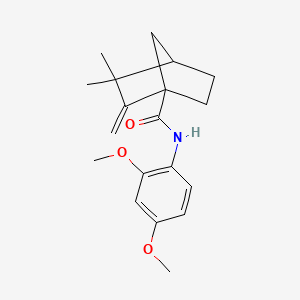 molecular formula C19H25NO3 B4232019 N-(2,4-dimethoxyphenyl)-3,3-dimethyl-2-methylenebicyclo[2.2.1]heptane-1-carboxamide 